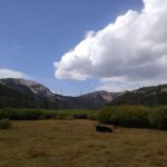 Broad Canyon Campground & Trailhead