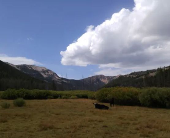 Broad Canyon Campground & Trailhead