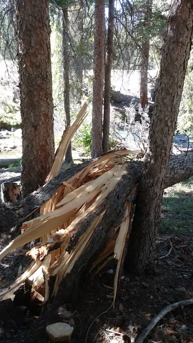 Lake Creek Trailhead & Campground 8