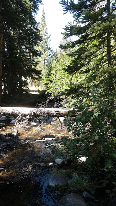 Lake Creek Trailhead & Campground 6