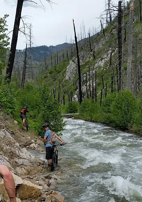 Ponderosa Campground 1
