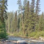 Ponderosa Campground