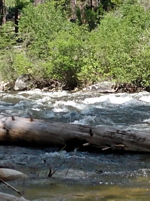 Ponderosa Campground 2