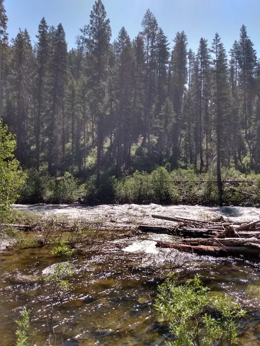 Ponderosa Campground 6