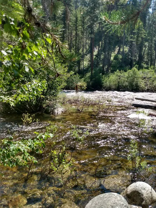 Ponderosa Campground 5