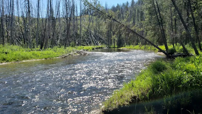 Chinook Campground 1