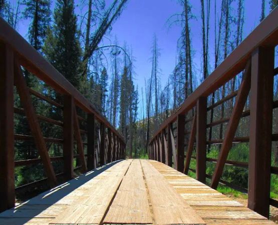 Chinook Campground