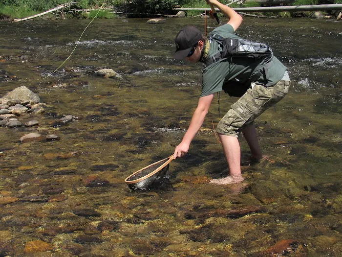 Chinook Campground 4