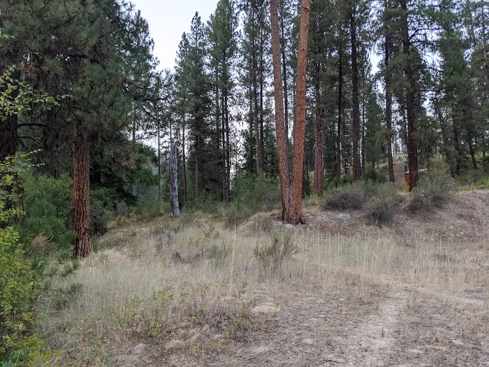 Teepee Creek Campground 4