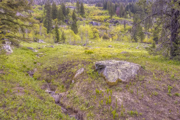 Black Lee Campground 1