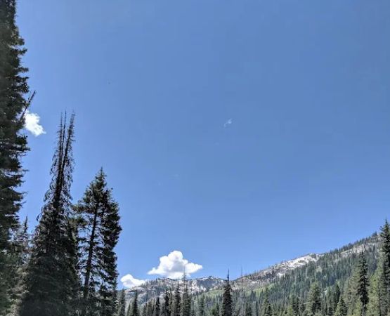 Black Lee Campground
