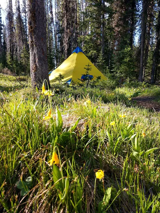 Burgdorf Campground 2