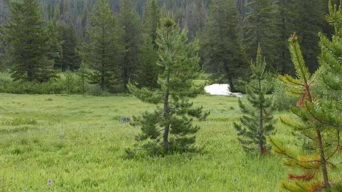 Burgdorf Campground 3
