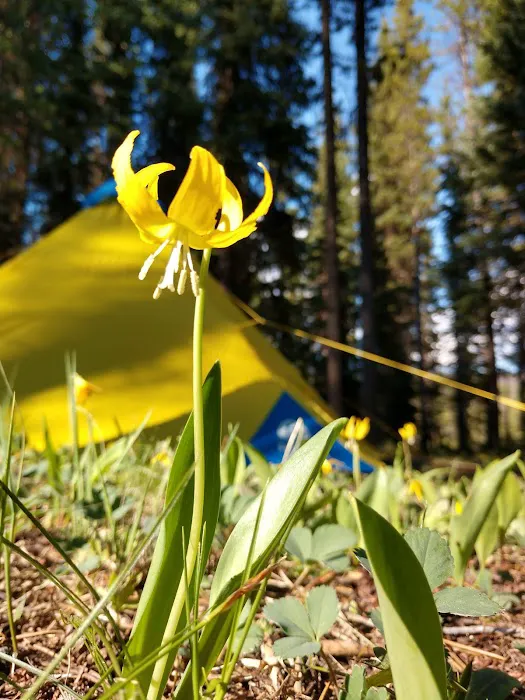 Burgdorf Campground 5