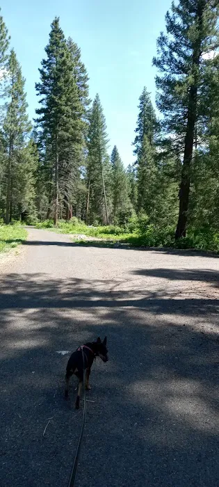Four Mile Campground 1