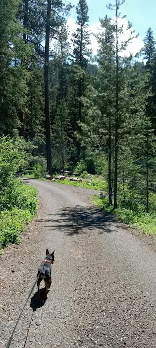 Four Mile Campground 7