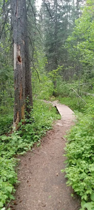 Four Mile Campground 6