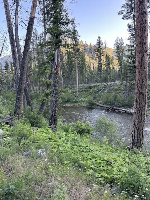 Yellow Pine Campground 3