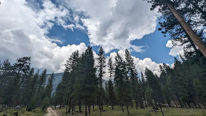 Yellow Pine Campground 0