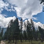 Yellow Pine Campground