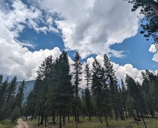 Yellow Pine Campground