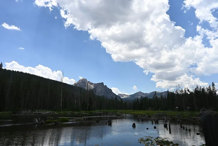 Stanley Lake Campground 2
