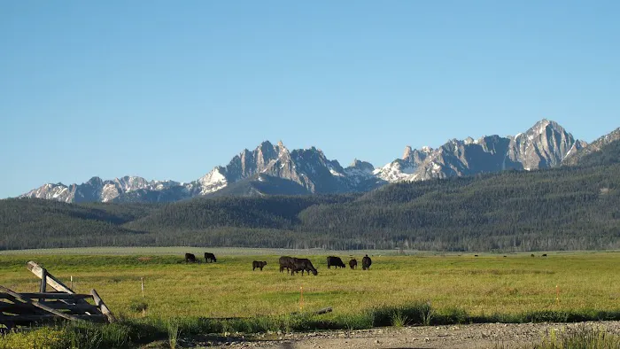 Stanley Lake Campground 6