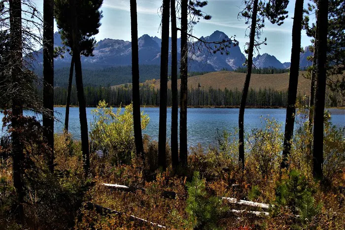 Mountain View Campground 3