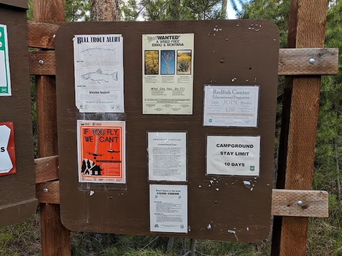 Mountain View Campground 7