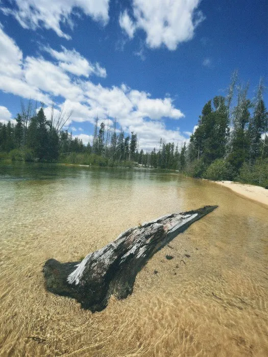 Redfish Outlet Campground 9