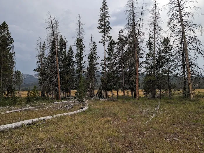 Elk Creek Campground (Sawtooth NF) 2