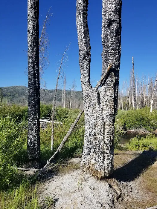 Elk Creek Campground (Sawtooth NF) 7