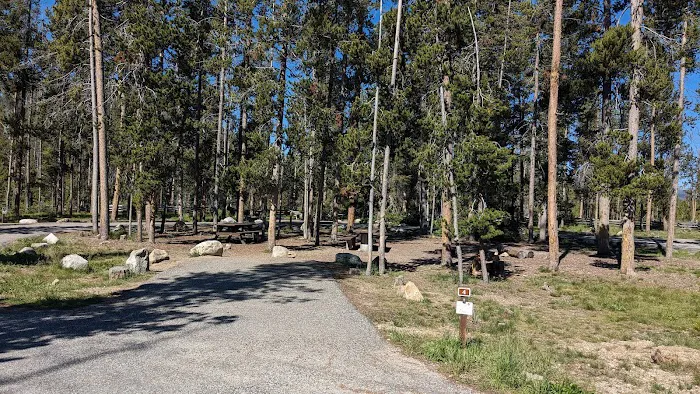 Sheep Trail Campground 1