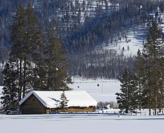 Sheep Trail Campground