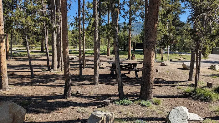 Sheep Trail Campground 6