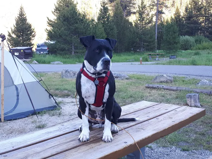 Mormon Bend Campground 1