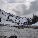 Cove Creek Hot Springs