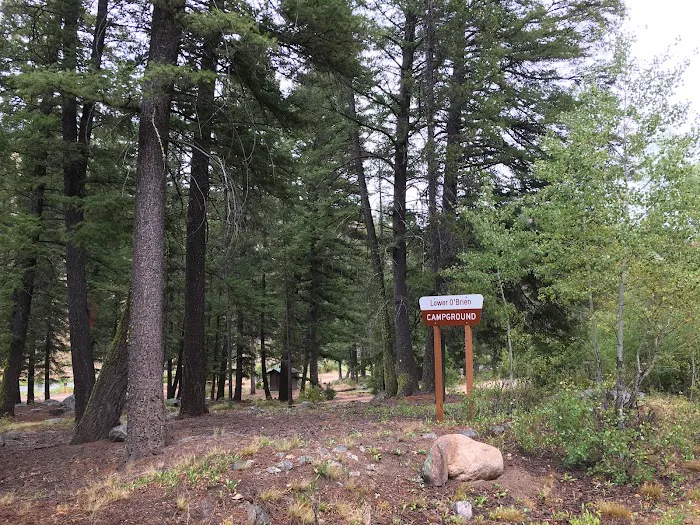 Lower O'Brien Campground 8