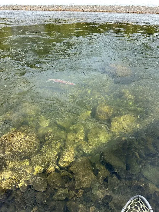 Marshall Creek Campground 5