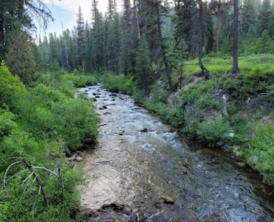 Park Creek Campground