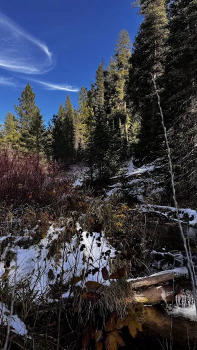 Lowman Ranger Station 0
