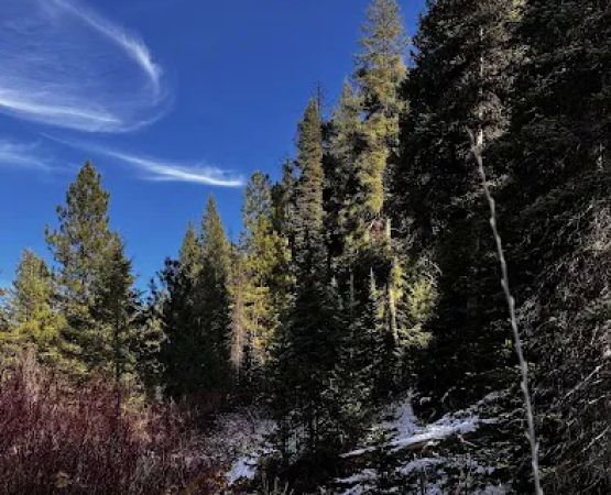 Lowman Ranger Station