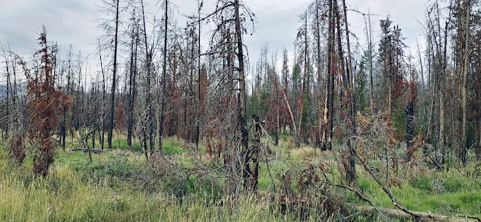 Trap Creek Campground 2