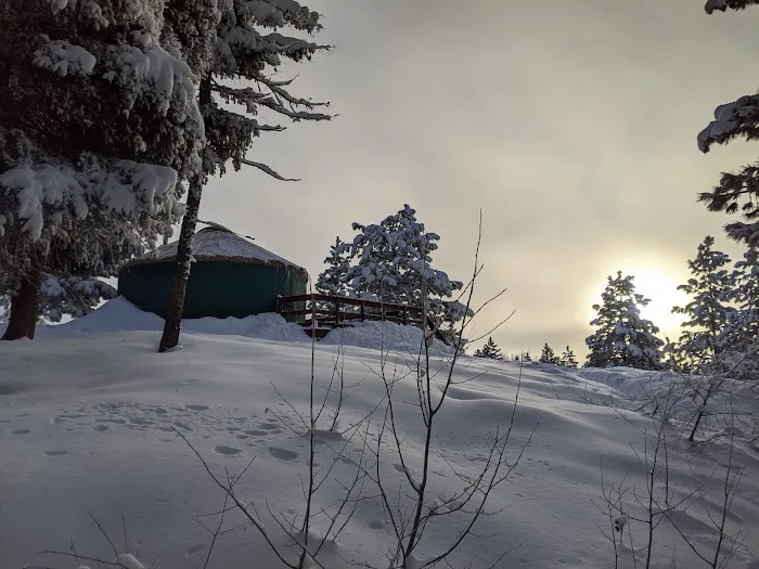 Elkhorn Yurt 4