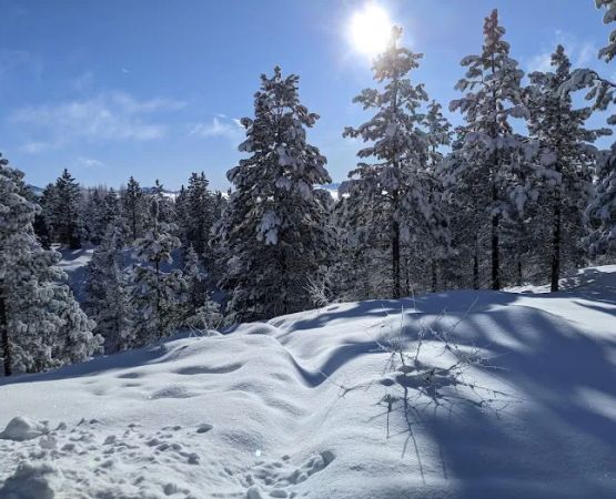 Elkhorn Yurt