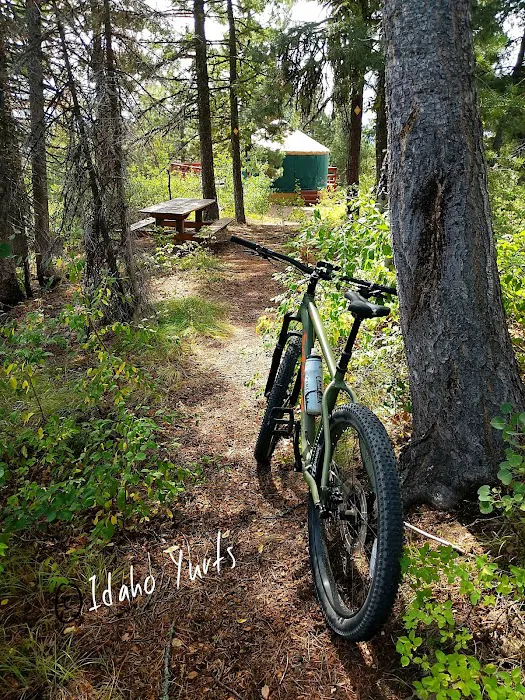 Elkhorn Yurt 5