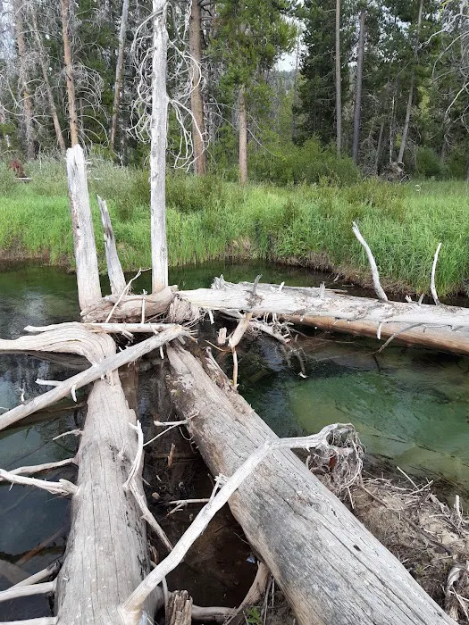 Alturas Inlet Campground 8