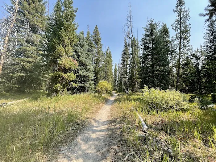 Alturas Inlet Campground 4