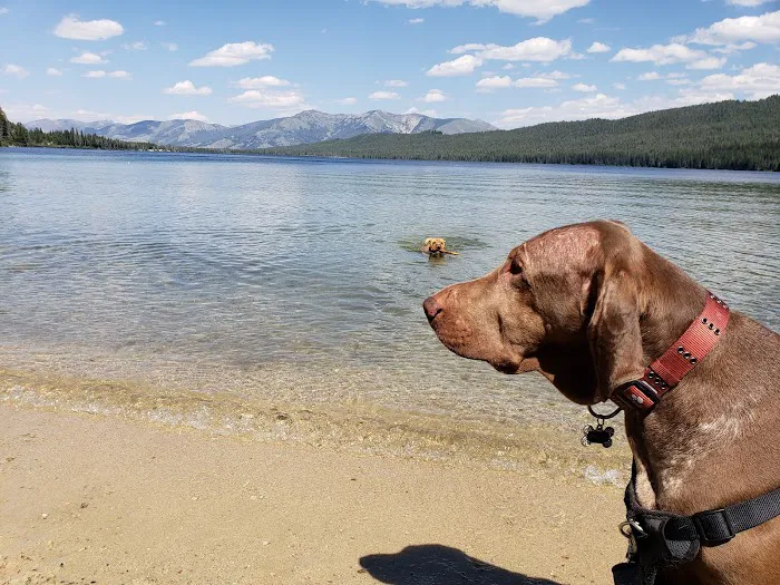Alturas Inlet Campground 9