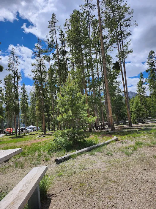 Pettit Lake Campground 5
